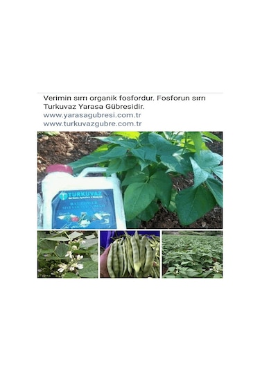 20 L Turkuvaz Bat Power Organik Sıvı Yarasa Gübresi