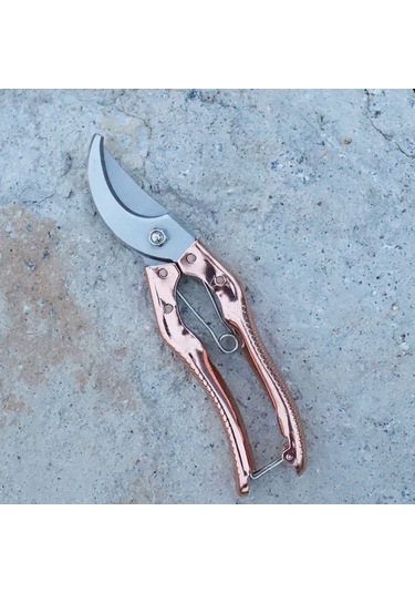 Hangfox Gümüşçelik Bahçe Budama Makası - Ergonomik Kavrama, 35mm Kalın Dal Kesimi, Yarı Eğik Bıçaklı, Gümüş/altın Renk Seçeneği