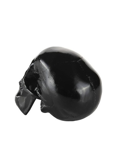 Lijinxu Reçine Çoğaltma Sanat İnsan Kafatası Modeli Parti