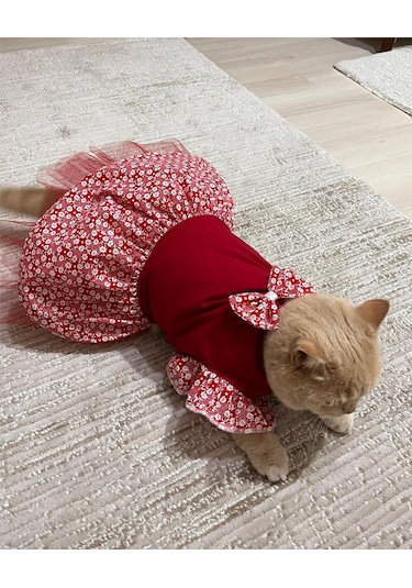 Gobo Çiçek Desenli Papyonlu Kedi Köpek Kıyafeti Elbisesi