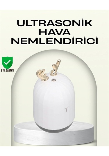 Ceylan Adam Abs+pp Malzemeli Taşınabilir 220 Ml Usb Mist Nemlendirici