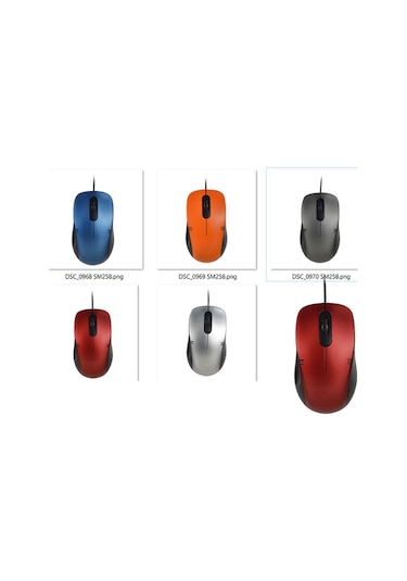Everest SM-258 Kablolu Optik Mouse
