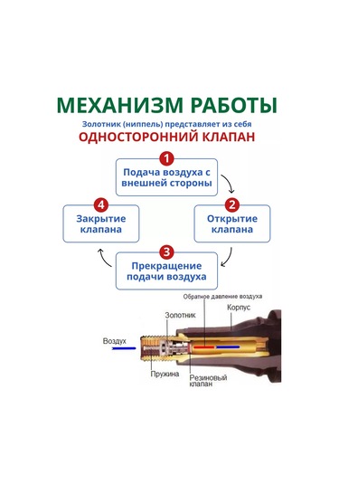 Acg 38mm Tüpsüz Lastikler İçin Supap 165792136