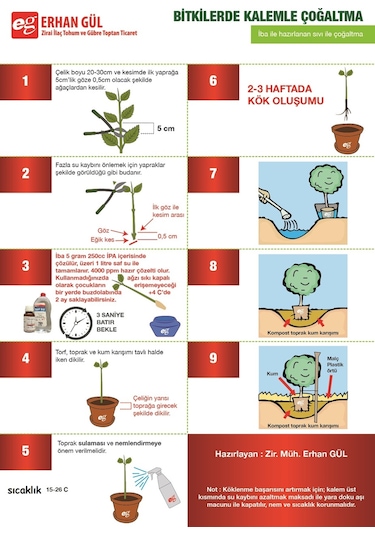 Iba K ( Indol Butirik Asit ) Çelik Köklendirme Hormonu 5 Gram