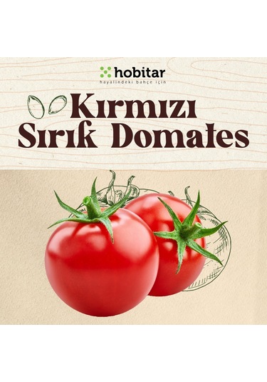 Hobitar Hesaplı Sebze Manavı Tohum Paketi - 5 Çeşit Sebze Tohumu