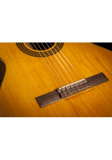 Takamine Gc3 Natural Klasik Gitar