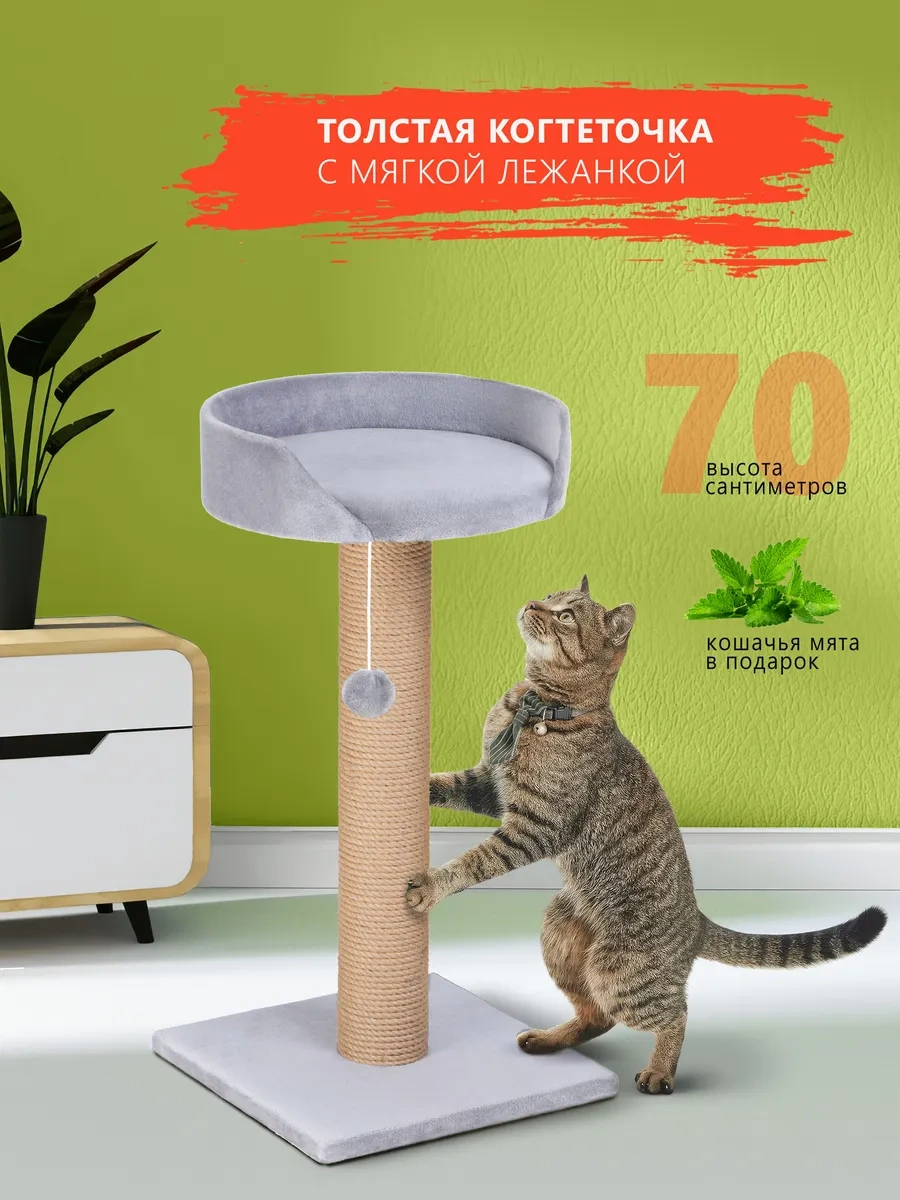Rıch Breed Kedi Tırmalama Direği Masası Zeminli Dinlenme Yatağı 420187668