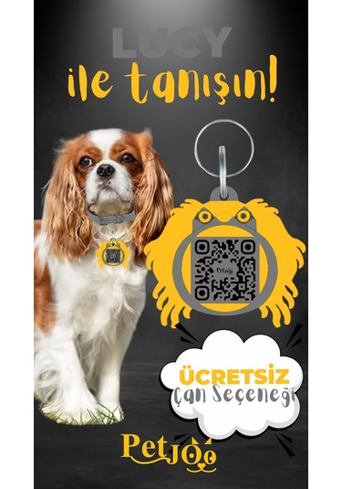 Petjoo 11.Lucy Sarı-Gri Qr'lı Köpek Künyesi