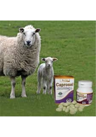 Royal İlaç Caprosel 50 Kapsül Yüksek Oranda Vitamin E, Selenyum, Kobalt