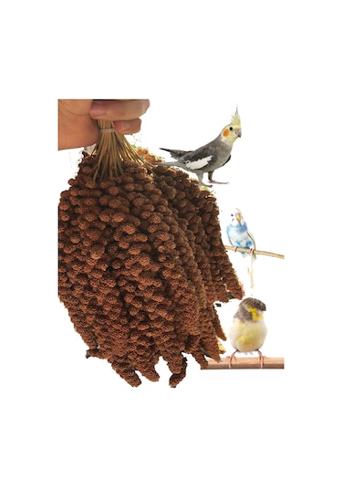 Kızıl Dal Darı 2 KG