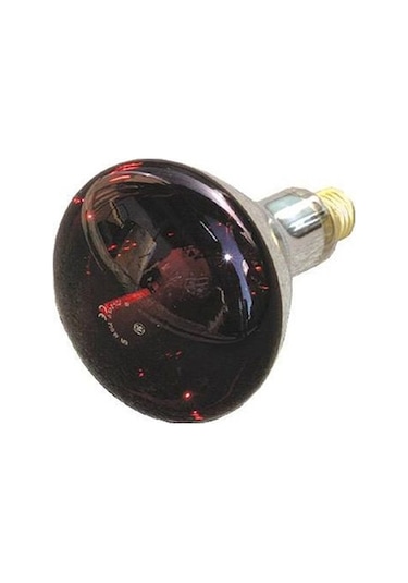 General 250 Watt Infrared Ampul Red