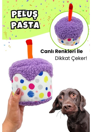 Havhav Köpek Parti Kutusu  5'li Set