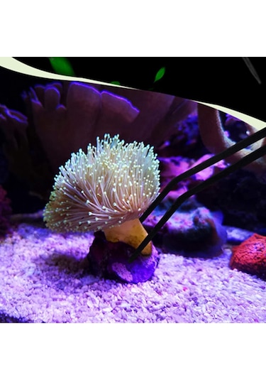 Geeroyoo 38cm Çelik Uçlu Düz Ve Eğri İki Kullanıma Uygun Uzun Pençe Seti Siyah