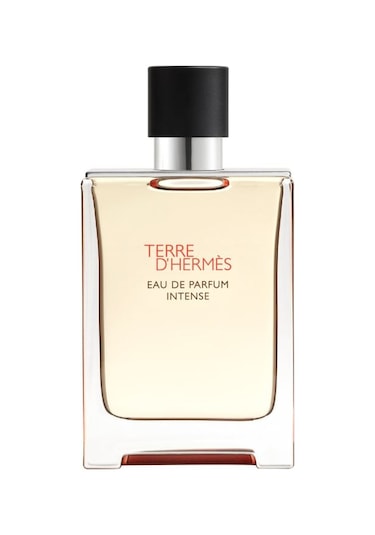 Hermes Terre Dhermes Intense Edp 100 Ml 3346130424116 Odunsu
