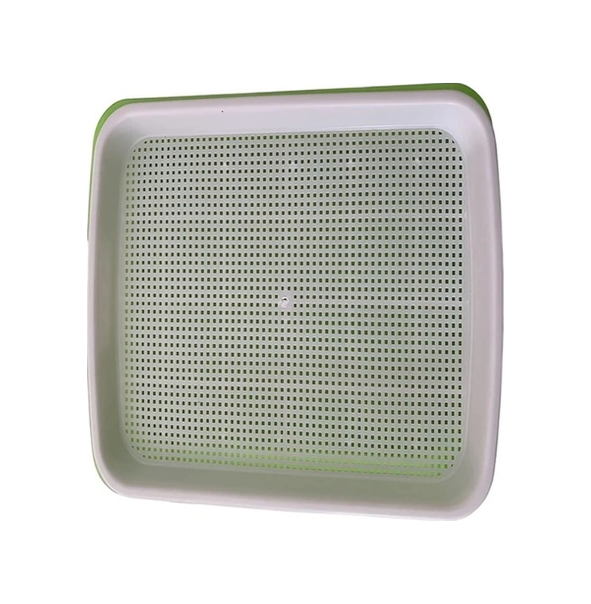 Trendooze Yeşil Filiz Tepsisi - Topraksız Hidroponik Sebze Yetiştirme