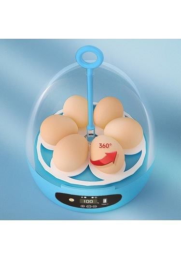 Diğer Suntek Mini 6 Yumurta Kuluçka Makinesi Hatcher Usb-otomatik-mavi