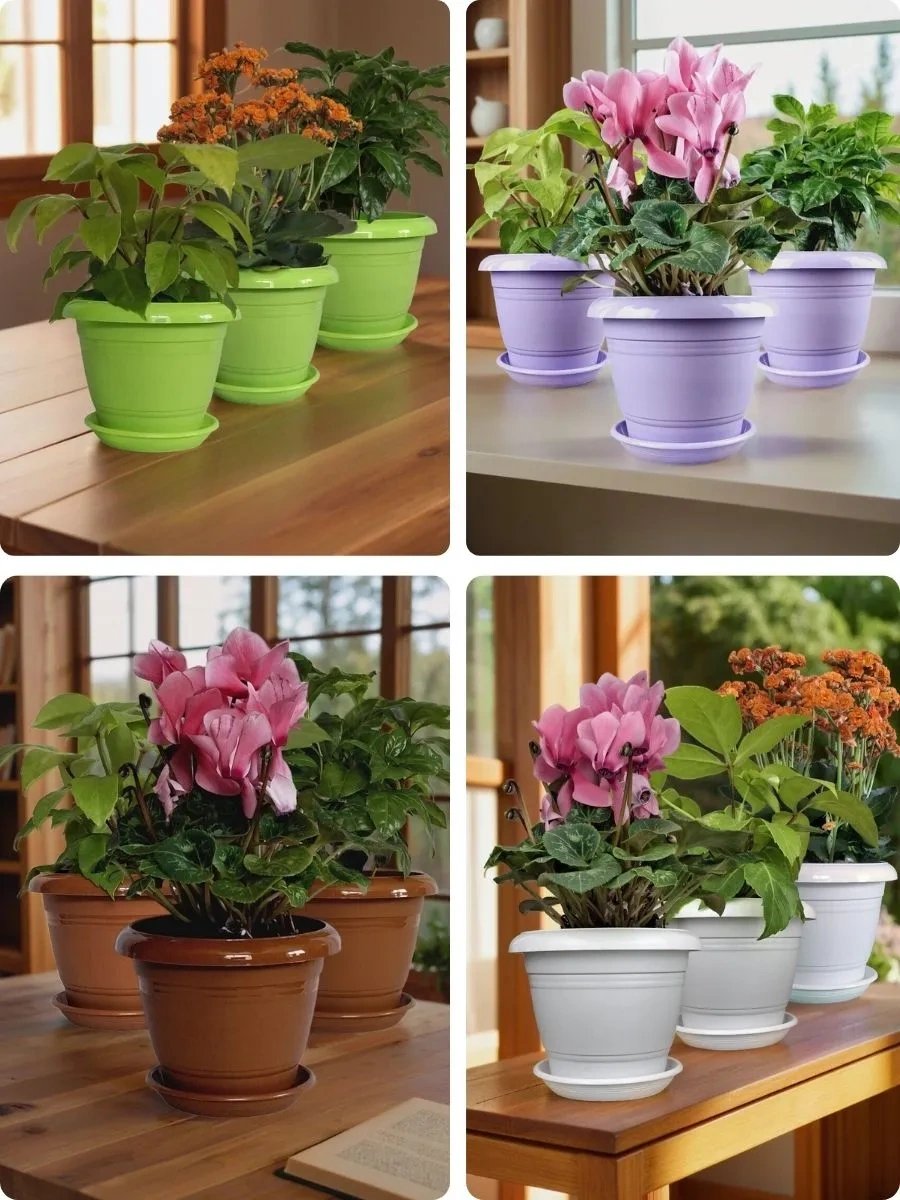 5plast 3'lü Sırp Etkin Ayçiçeği Bitki Saksısı 447554424