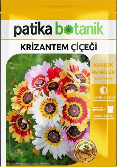 50 Adet Krizantem Çiçeği Tohumu