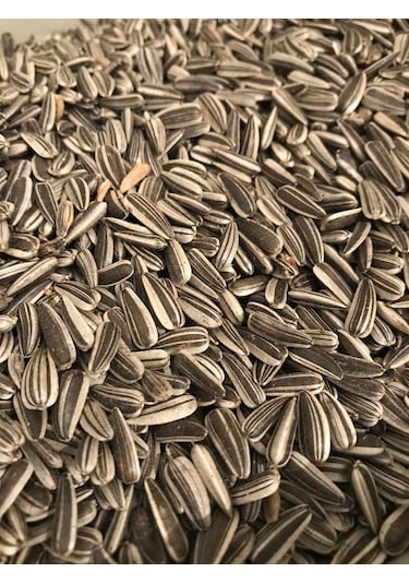 Küçük Alaca Çekirdek 1 KG Yeni Mahsul