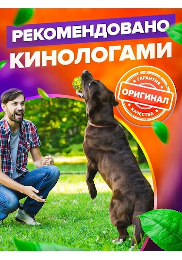Petfort Köpekler İçin Çiğneme Oyuncağı, Süper Dayanıklı Top 159440582
