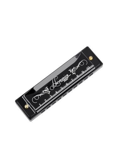 Irın 10 Delikli Mızıka C Anahtarı 20 Ton Müzik Hediyesi Saklama Kutusu İle Başlangıç Seviyesi Öğrencileri İçin