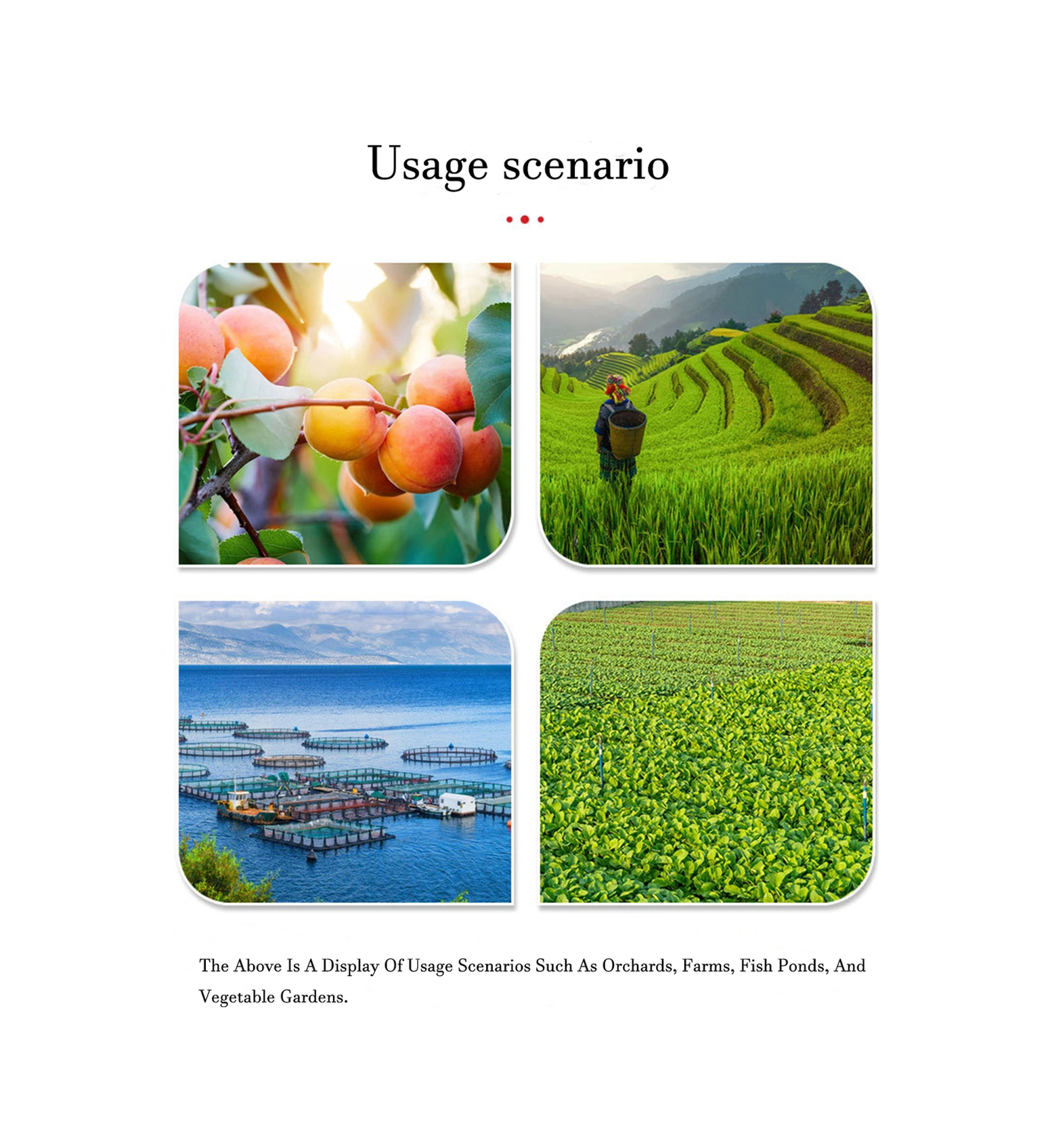 Yuntech01 Güçlü Yansıtıcı Kuş Kovucu: 8 Köşeli Güneş Enerjili Fırça, Bahçe-tarla-havaalanı Koruması, Kaliteli Plastik, 1 Adet Gümüş Noktalı