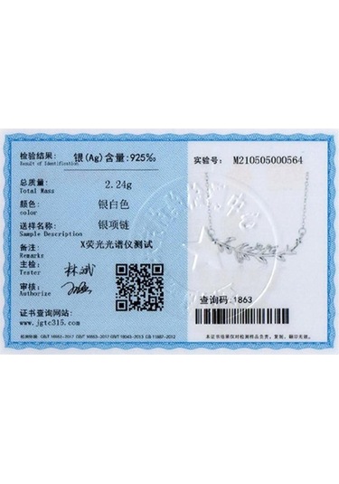 Tancise S925 Gümüş Yaprak Kolye Kadın Basit Dalları ve Yaprakları Kolye Boyun Zinciri Gümüş Takı