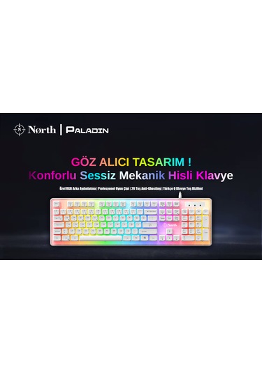 North Paladin Mekanik Hisli Türkçe RGB Gaming Klavye