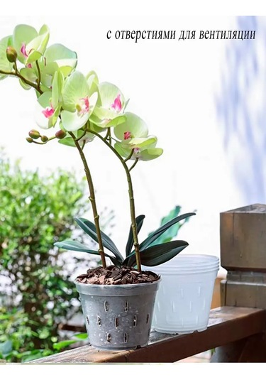 Saburg Orkide İçin Saksı, 3 Adet, 0,7 Litre, Tablalı 299473002