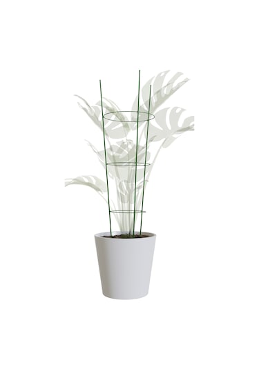 Garden With Ware Bitki Destek Kafesi - 60 Cm