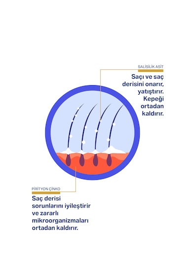 İd-t Kepek Pullanma Karşıtı Ve Çinko Onarıcı Şampuan 250 ML