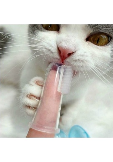 River World Köpekler İçin Diş Fırçası Temizleme Aleti