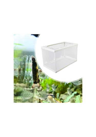 Suntek Balık Tankı İzolasyon Ağı Ayırıcı L,-tahtasız