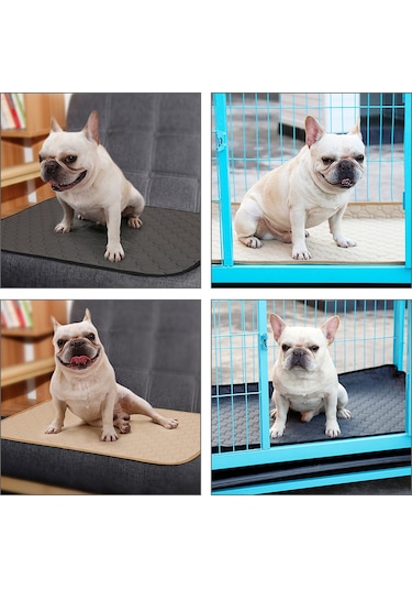 Lemestar Köpekler İçin Yeniden Kullanılabilir Su Geçirmez Emici Pee Pad - Koku Kontrolü, M Büyüklüğü, Bej Renk