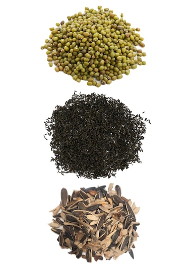 İpek Değirmen 3 Kg Premium Papağan Yemi Tozsuz