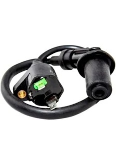 Scooter 125-150 / Pejo Ateşleme Dış Bobin