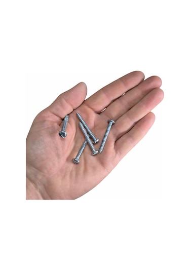 4.8x38mm Silindir Düz Tornavida Başlı Sivri Uçlu Vida Ysb Sac Vidası -100 Adet 4.8x38mm