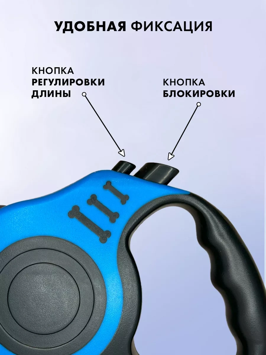 Purrfect Place 5 M Otomatik Tasma 206066316 Mavi