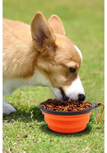 Noyiska Taşınabilir Katlanabilir Asma Aparatlı 2 Adet Silikon Mama Kabı