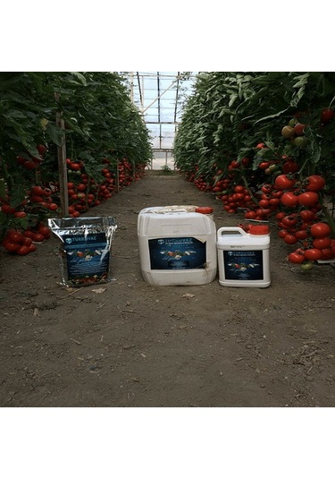 5 L Turkuvaz Bat Power Organik Sıvı Yarasa Gübresi