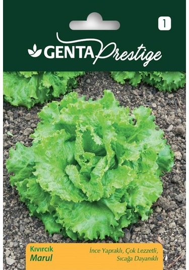 Genta - İnce Yapraklı Ve Sıcağa Dayanıklı Kıvırcık Marul Tohumu