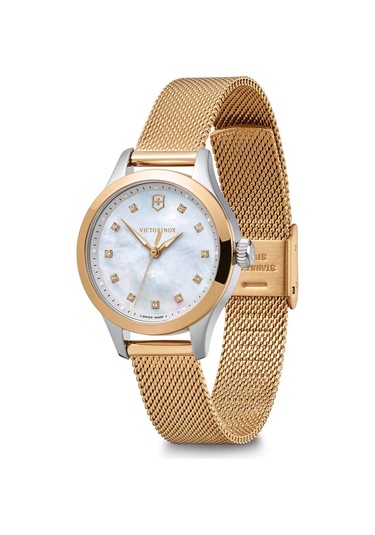 Victorinox Alliance Xs Vs 241879 Bordo