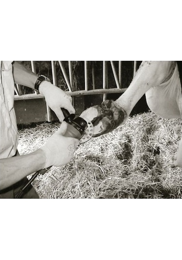 Kerbl Büyükbaş Tırnak Kesme Diski. 3 Bıçaklı