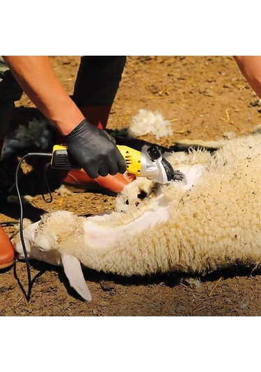 Rtrmax Rtm923 Koyun Kırkma Makinesi 500w