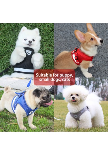 Geeroyoo Küçük Köpekler İçin Havalandırmalı Gece Yürüyüş Yeleği Ve Tasma Seti - Siyah S Bl-844 Siyah