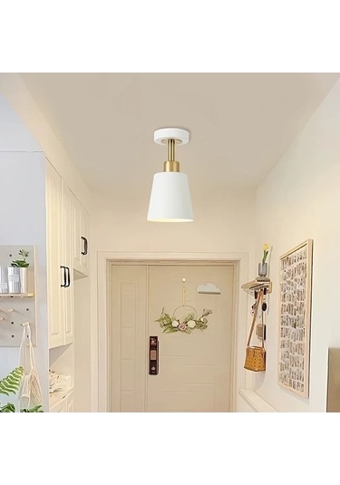 Fastbuy Modern Minimalist Siyah Ve Altın Detaylı Yarı Flush Mount Tavan Armatürü Karartılabilir 2 Adet Siyah Siyah