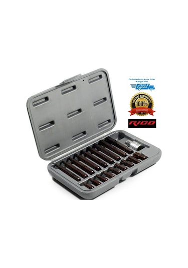 Rıco 005-kk0003 19pc Kaplamalı Delikli Torx Bits Set