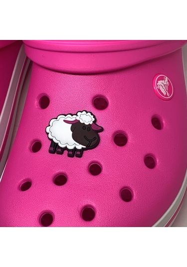 Crocs Terlik Süsü & Renkli Aksesuar Jibbitz (475023322) Çok Renkli