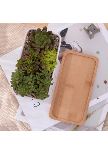 Yifomall Beyaz Seramik Dikdörtgen Saksı - Bambu Tepsi İle Minimalist Sukulent Ve Çiçek Saksısı