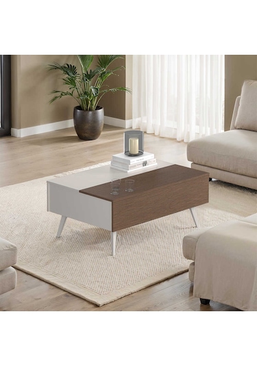 Milano Çekmeceli Dikdörtgen Orta Sehpa - Vizon/zebra 103x44x72 Cm Vizon